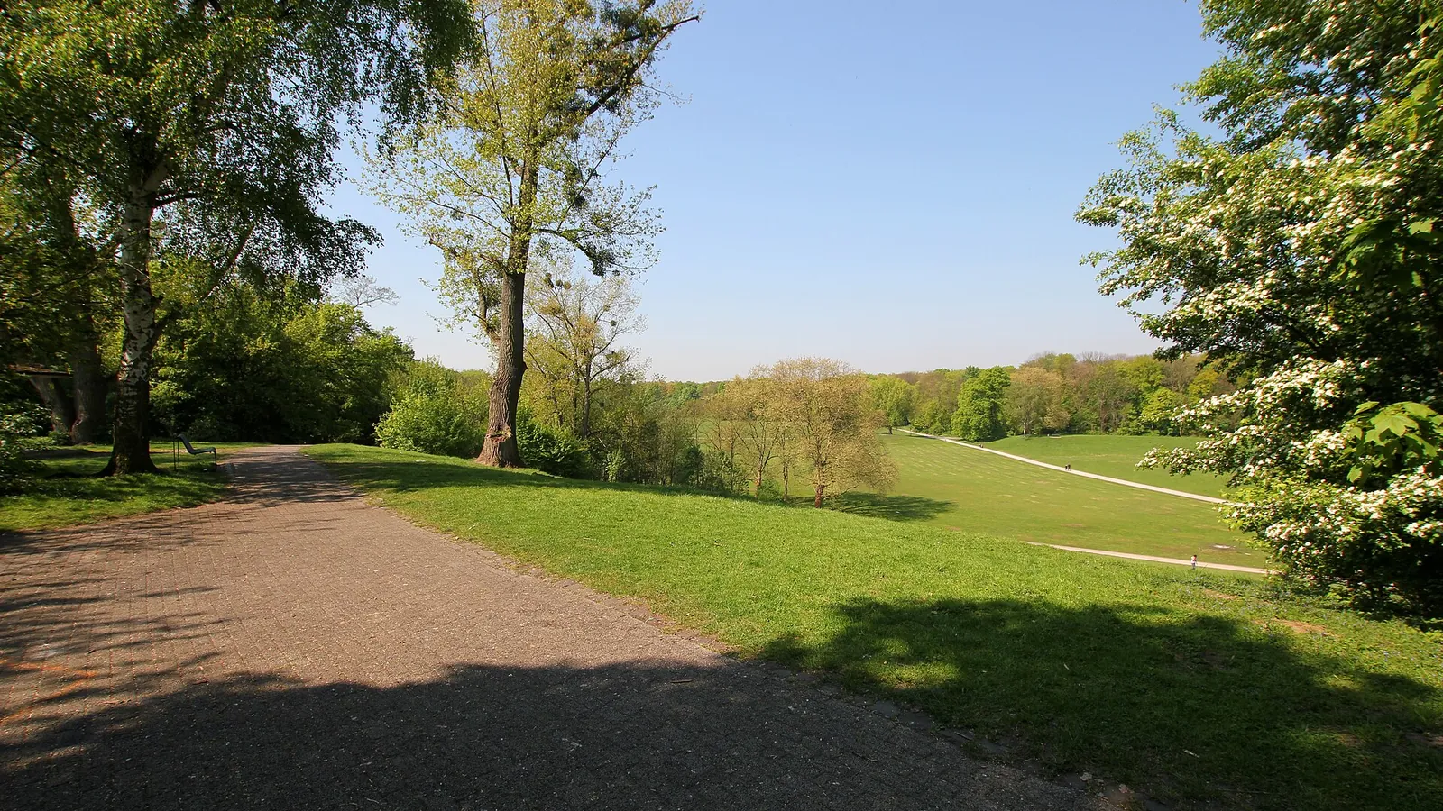 Weiter grüner Weg mit alten Bäumen im Beethovenpark in Köln-Sülz